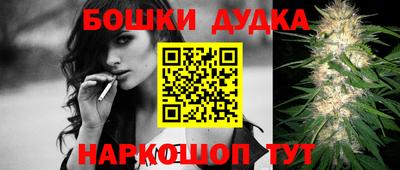 apvp Партизанск