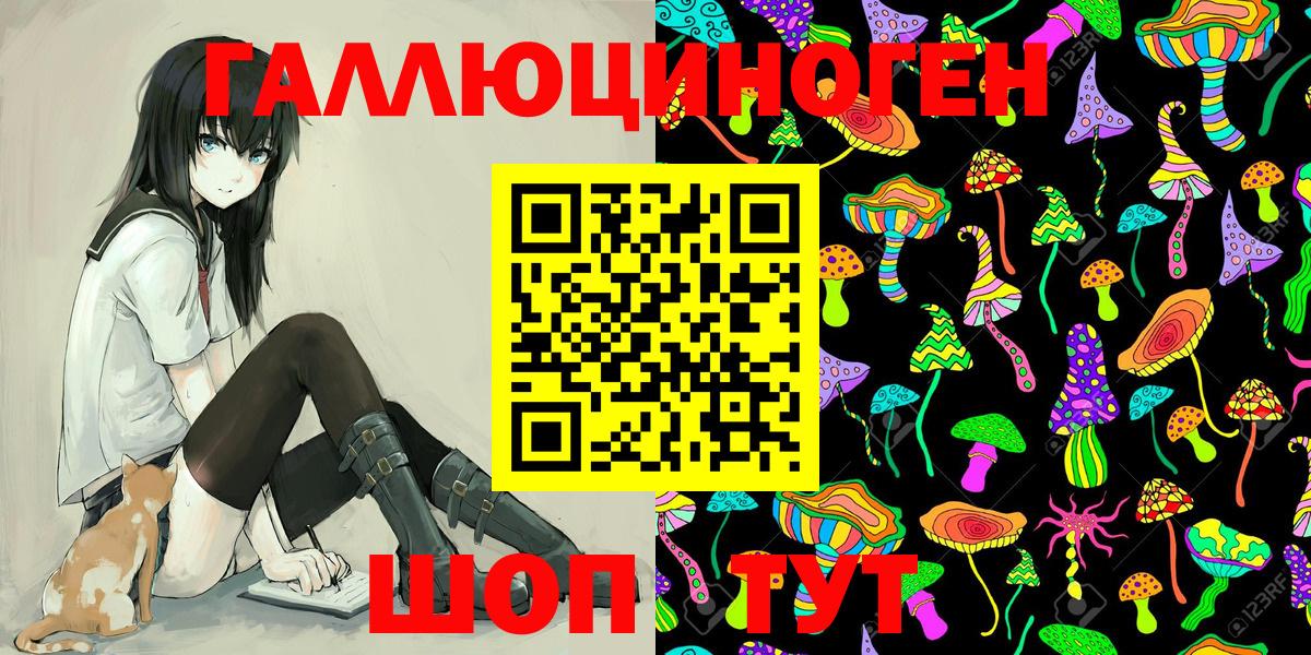 Псилоцибиновые грибы Psilocybine cubensis Печора
